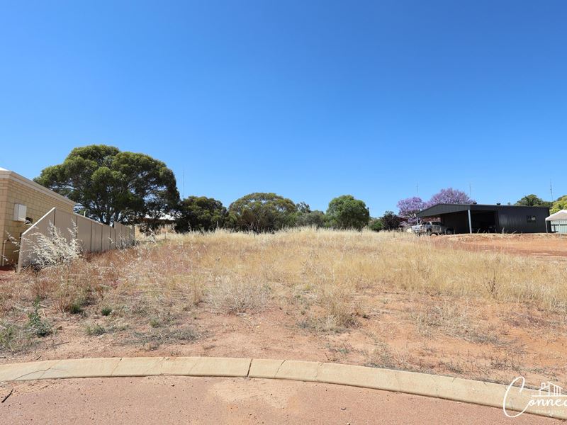 34 Oakover Place, Northam