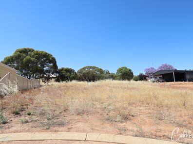 34 Oakover Place, Northam WA 6401