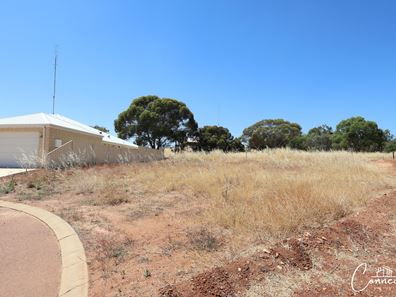 34 Oakover Place, Northam WA 6401
