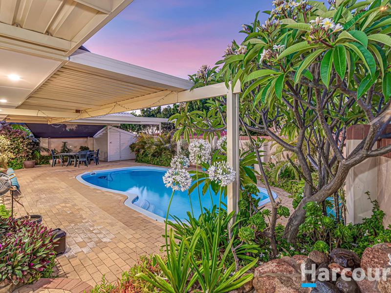 17 Alliance Court, Currambine WA 6028