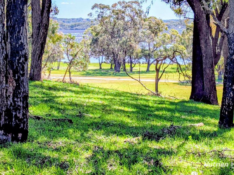 Lot 52 & 53 Cowalla Road, Cowalla, Gingin