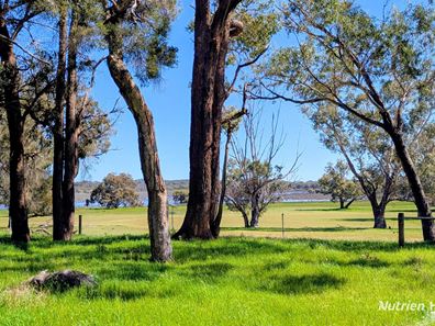 Lot 52 & 53 Cowalla Road, Cowalla, Gingin WA 6503
