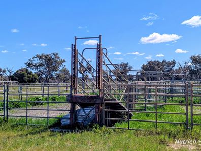 Lot 52 & 53 Cowalla Road, Cowalla, Gingin WA 6503