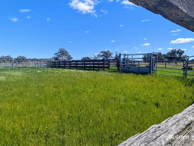 Lot 52 & 53 Cowalla Road, Cowalla, Gingin WA 6503