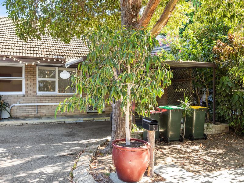 3/56 Excelsior Street, Shenton Park WA 6008