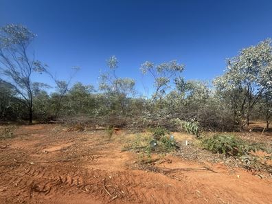 3 Ibis Way, Derby WA 6728