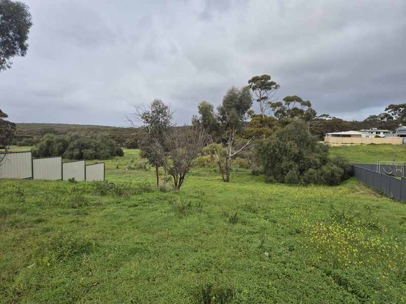 76 Spence  Street, Ravensthorpe WA 6346