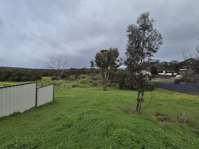 76 Spence  Street, Ravensthorpe WA 6346