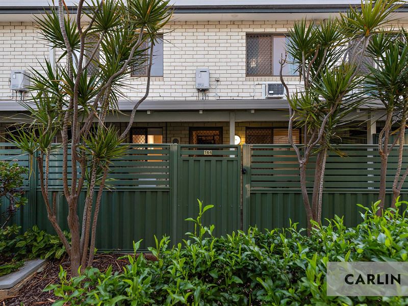 164/81 King William Street, Bayswater