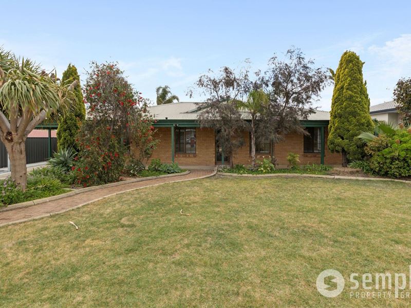 317 Yangebup Road, Yangebup WA 6164