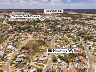 58 Hackney Way, Yanchep WA 6035