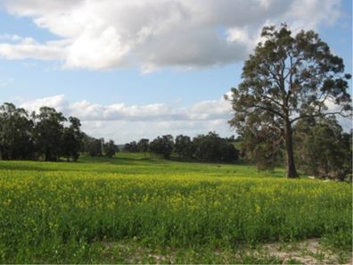 Pipeline Lot 2 Collie-Williams Road, West Wil, Williams WA 6391