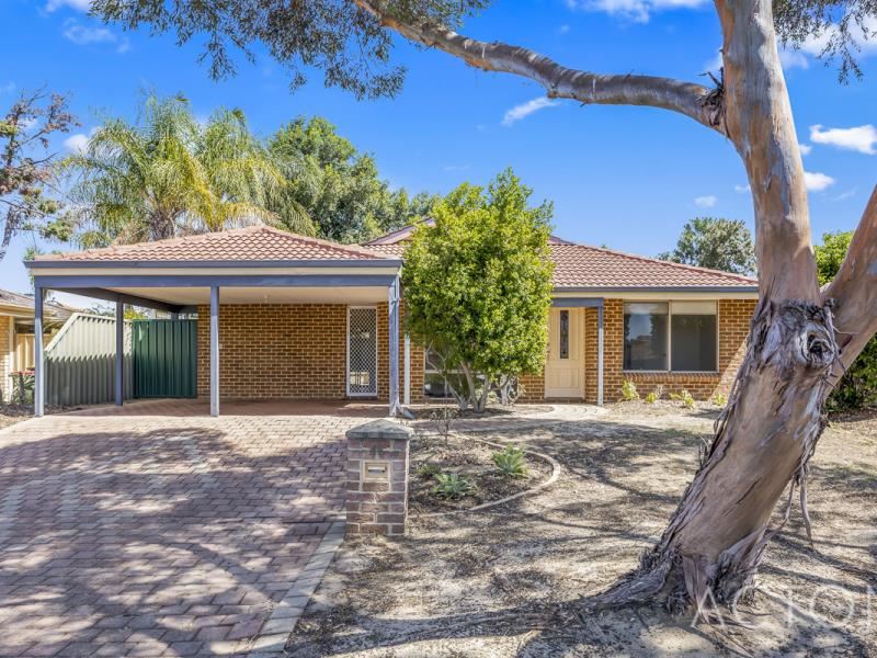 46 Mint Circuit, Banksia Grove
