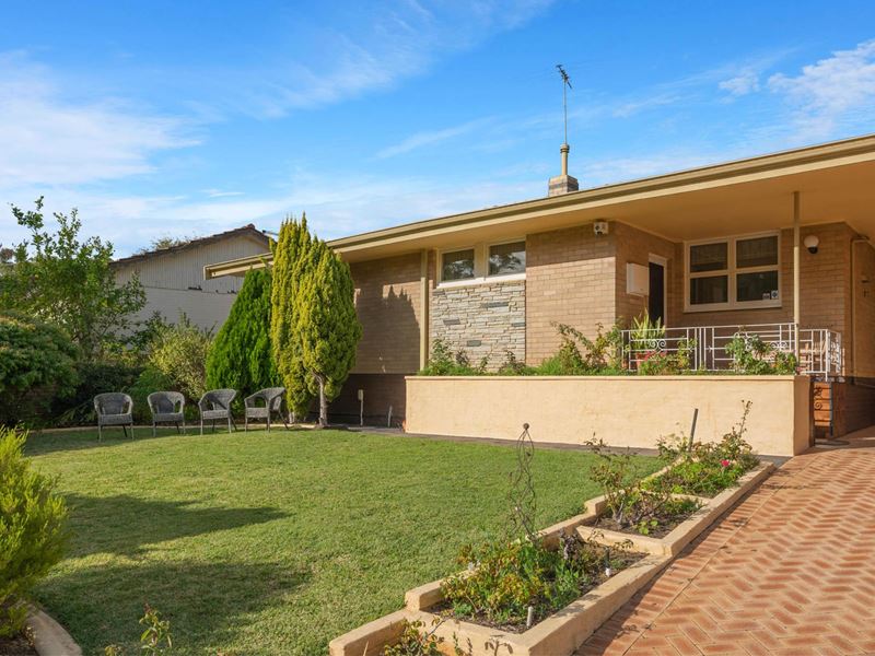 46 Elphin Street, Floreat