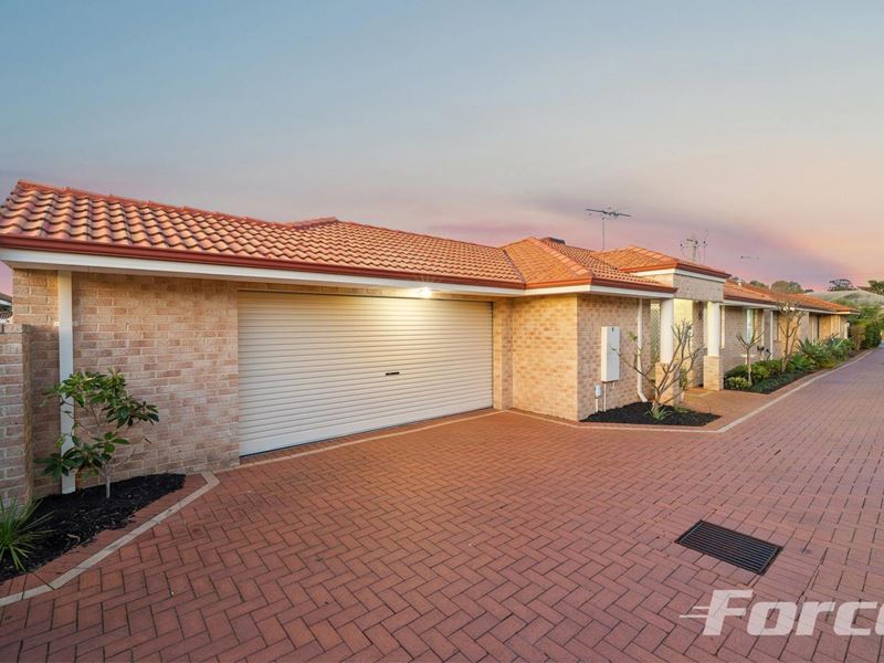 6/293 Albert Street, Balcatta