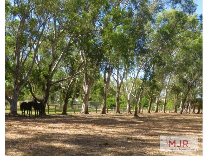 49 Comic Court Circuit, Darling Downs