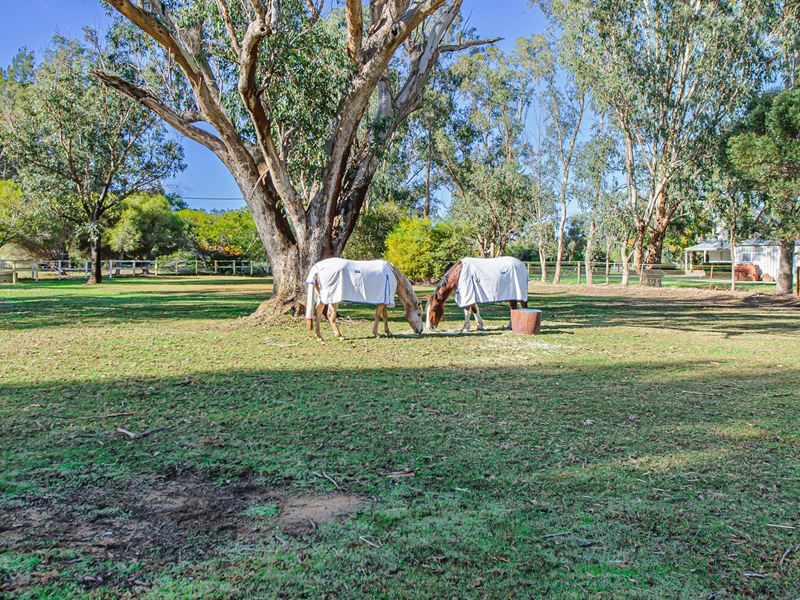 80 Leaver Way, Cardup