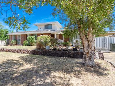 8 Newton Court, Armadale WA 6112