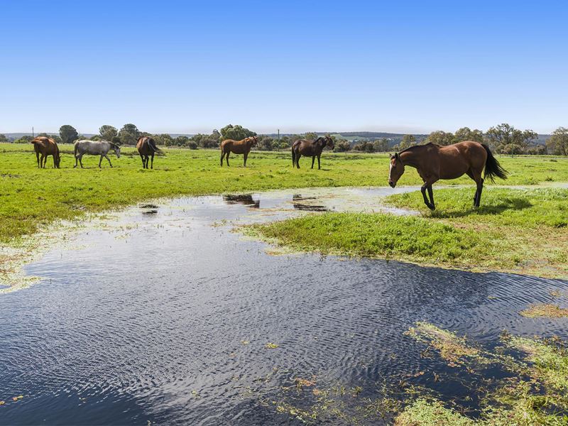 24 Gaston Road, Bullsbrook WA 6084