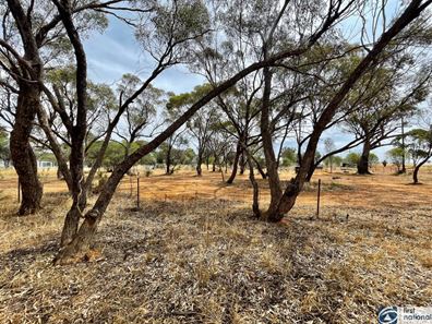 Lot 31 & Lot 32 Citron Avenue, Muluckine WA 6401