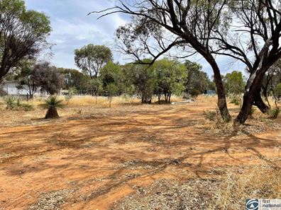 Lot 31 & Lot 32 Citron Avenue, Muluckine WA 6401