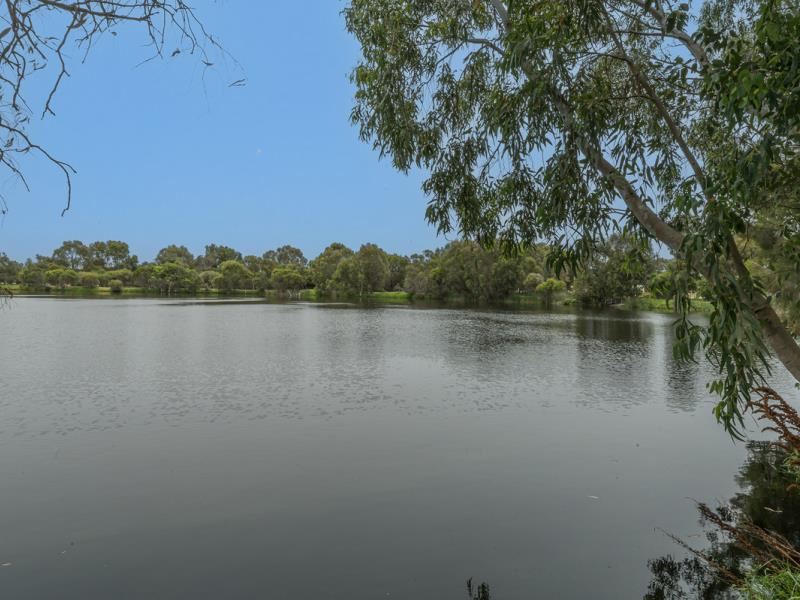 45 Mariposa Gardens, Success