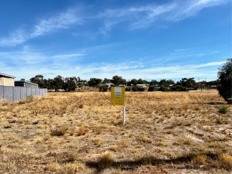 5 Wattle street, Mingenew WA 6522