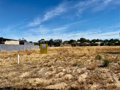 5 Wattle street, Mingenew WA 6522
