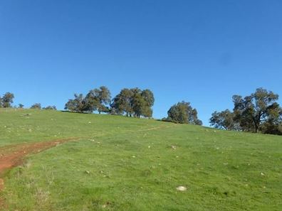 Lot 31,  Clarkson Road, Bullsbrook WA 6084