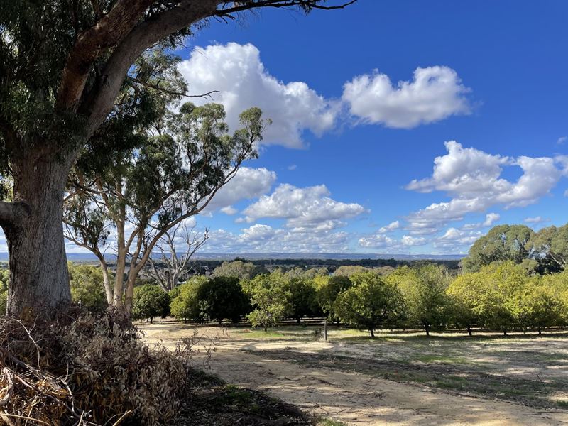 Lot 104,  Doghill Road, Baldivis WA 6171