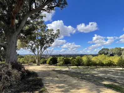 Lot 104,  Doghill Road, Baldivis WA 6171