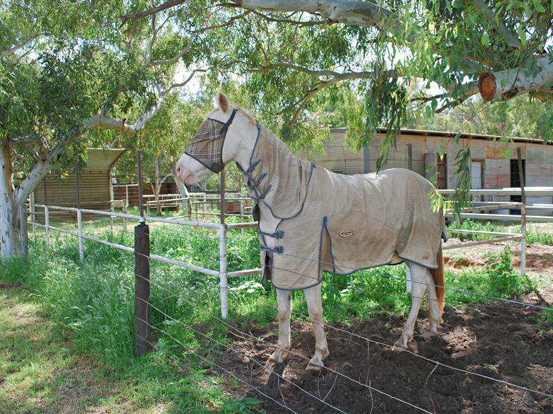10 Wellington Road, Woorree WA 6530