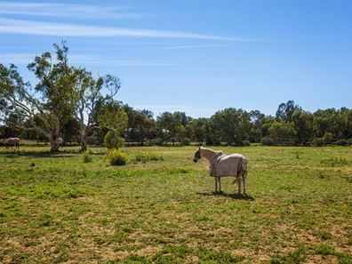 10 Wellington Road, Woorree WA 6530