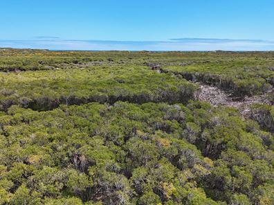 221 Sailfish Way, Jurien Bay WA 6516