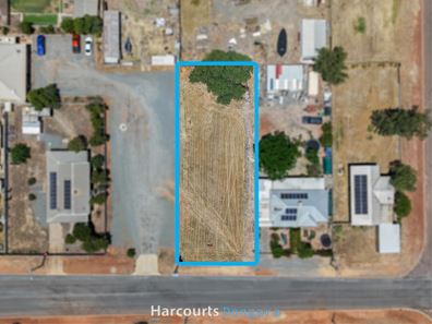 8 Williams Street, Mingenew WA 6522