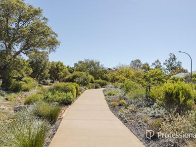 41 Shackleton Terrace, Byford WA 6122