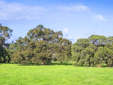 Lot 23,  Blackwood Grove, Kudardup WA 6290