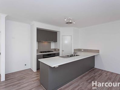 8 Aspe Way, Alkimos WA 6038