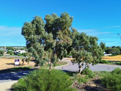 Lot 24, 24 Phelps Loop, Kalbarri WA 6536