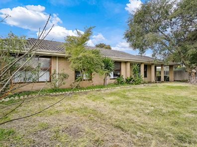 1 Nardoo Way, Maddington WA 6109
