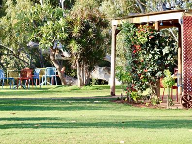289 Margaret Row, Kingsford WA 6701