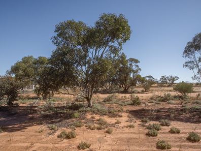 Lot 200,  McGregor Road, Mukinbudin WA 6479