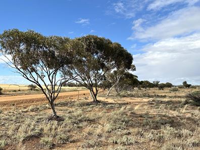 Lot 200,  McGregor Road, Mukinbudin WA 6479