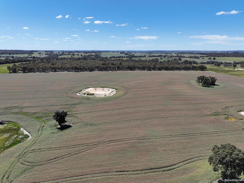 201 Jeffs Road, Jingalup WA 6395