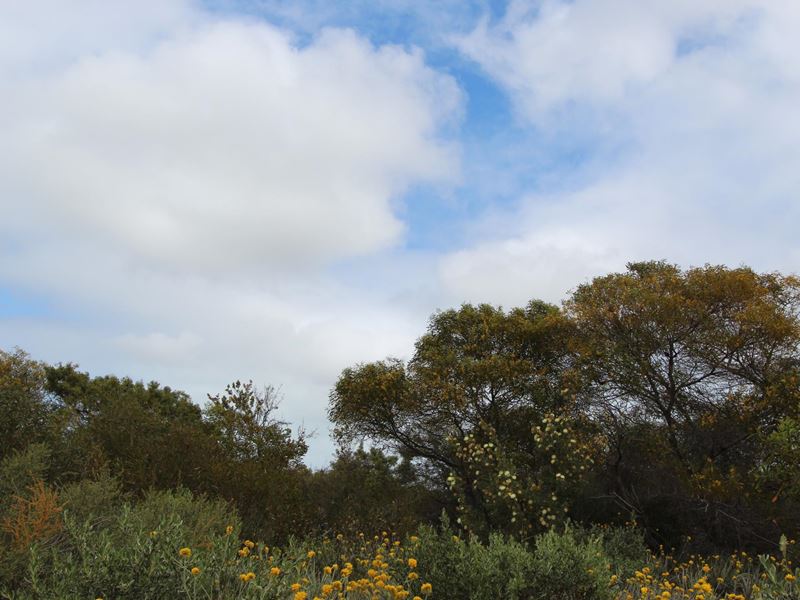 67 River Loop, Jurien Bay