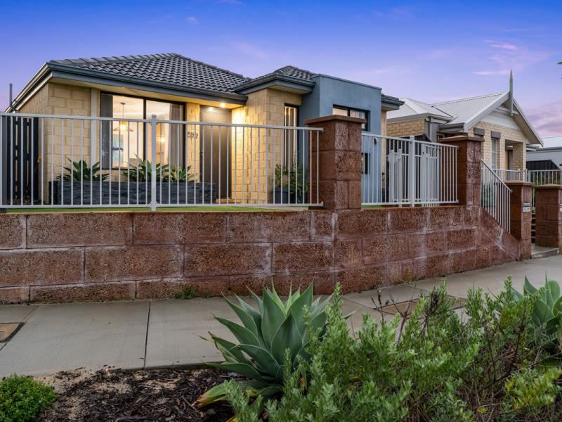 255 Grandis Boulevard, Banksia Grove WA 6031