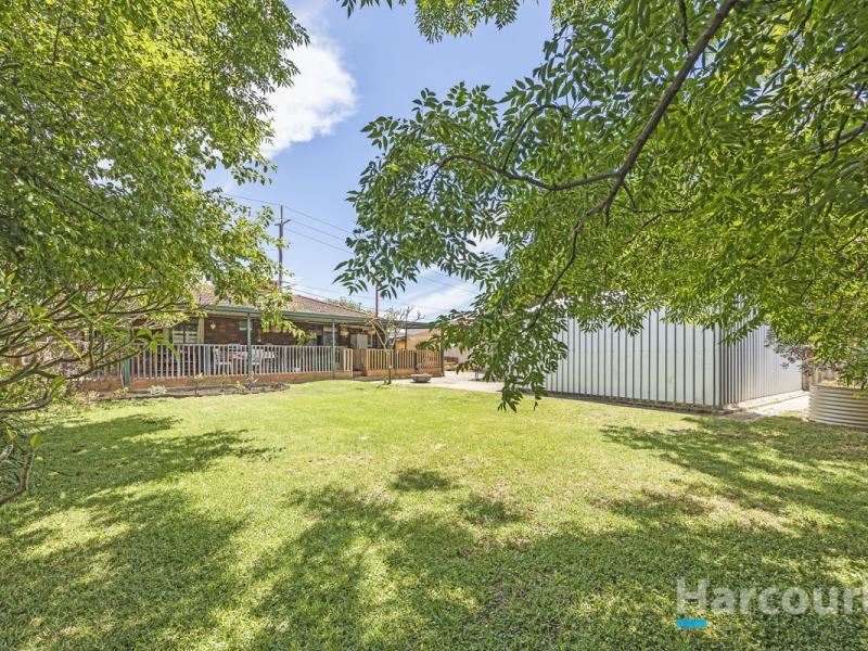 92 Davilak Avenue, Hamilton Hill WA 6163