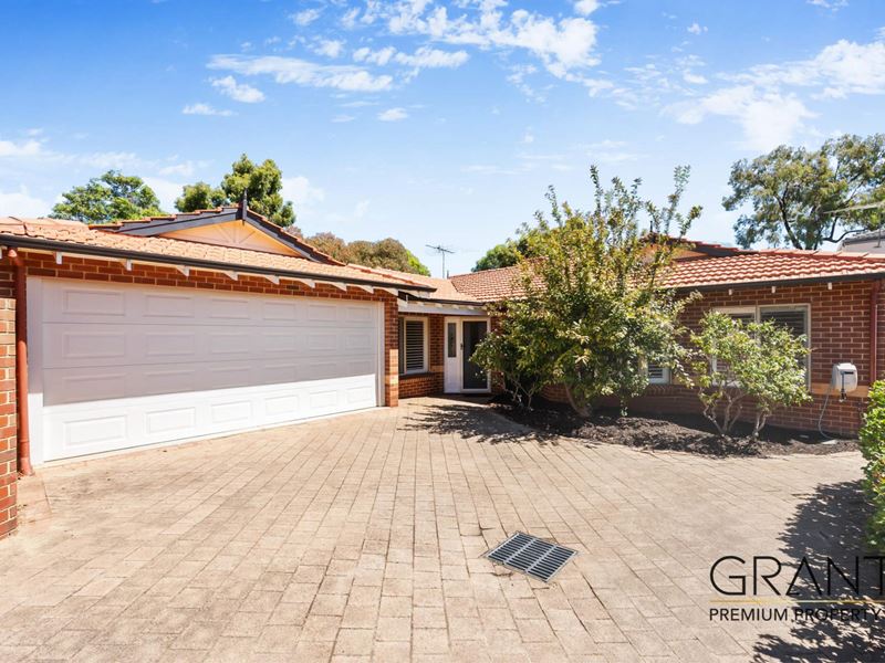 50b Mount View Terrace, Mount Pleasant
