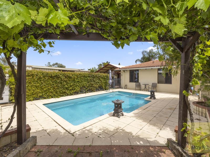 53 Calluna Way, Forrestfield