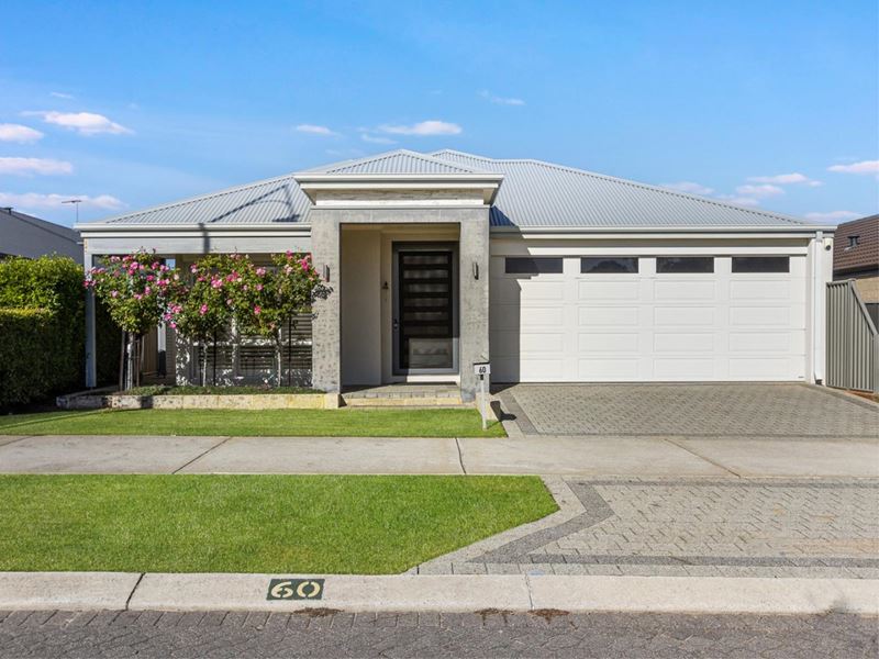 60 Honeywood Avenue, Wandi
